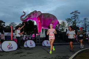 BIB: 
                            <button type="button" onclick="openModal(26529630)" class="btn btn-primary btn-sm float-right btn-popup" data-toggle="modal" data-target=".modal-high-quality">
                        <i class="fas fa-shopping-cart"></i> Add to Cart
                    </button>
                                            <button type="button" onclick="isThisMe(26529630, true)" class="btn btn-success btn-sm float-right btn-popup btn-isme hidden" data-toggle="tooltip" data-placement="bottom" title="นี่คือรูปของคุณใช่ไหม คลิกที่นี่เพื่อเอาเข้าอัลบั้ม">
                        <i class="fas fa-plus"></i> Add to album
                    </button>
                    <button type="button" onclick="isThisMe(26529630, false)" class="btn btn-warning btn-sm float-right btn-popup btn-isnotme hidden">
                        <i class="fas fa-ban"></i> Remove from album
                    </button>